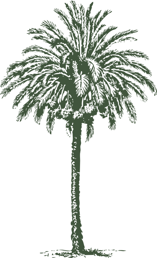 Date Palm