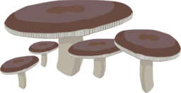 Mushrooms 1