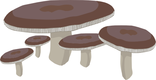 Mushrooms 1