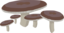 Mushrooms 1