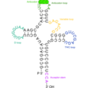 download Transfer Rna 2 clipart image with 45 hue color