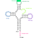download Transfer Rna 2 clipart image with 90 hue color