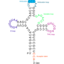 download Transfer Rna 2 clipart image with 135 hue color