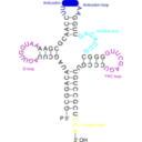 download Transfer Rna 2 clipart image with 180 hue color