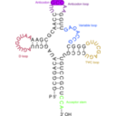 download Transfer Rna 2 clipart image with 225 hue color