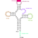 download Transfer Rna 2 clipart image with 270 hue color