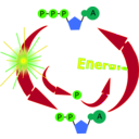 download Cycle Atp clipart image with 45 hue color