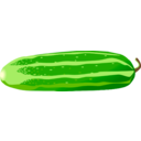 Cucumber