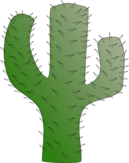 Cactus