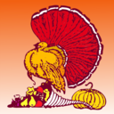 Thanksgiving Turkey And Harvest With Orange Background