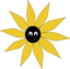 Yellow Sun Flower