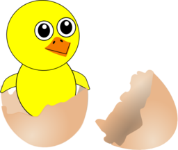 Funny Chick Cartoon Newborn Coming Out From The Egg