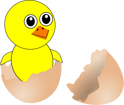 Funny Chick Cartoon Newborn Coming Out From The Egg