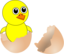 Funny Chick Cartoon Newborn Coming Out From The Egg