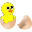 Funny Chick Cartoon Newborn Coming Out From The Egg