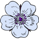 download Wild Rose clipart image with 225 hue color