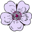 download Wild Rose clipart image with 270 hue color