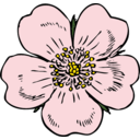 download Wild Rose clipart image with 0 hue color