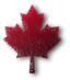 Maple Leaf 6