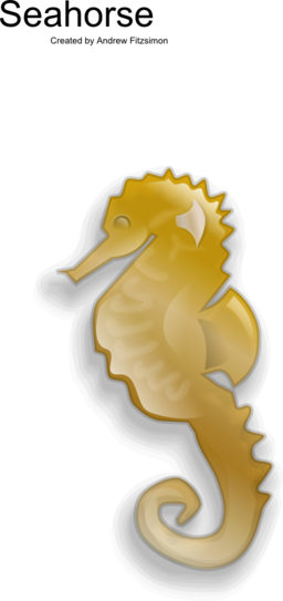 Seahorse