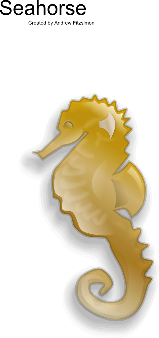 Seahorse