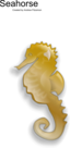 Seahorse