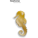 Seahorse