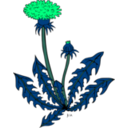 download Ku Taraxacum Officinale clipart image with 90 hue color