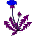 download Ku Taraxacum Officinale clipart image with 180 hue color