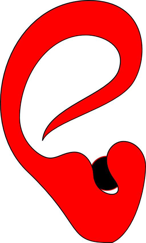 Ear 2