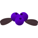 download Lingonberry clipart image with 270 hue color