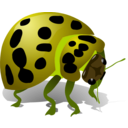 download Bug clipart image with 45 hue color