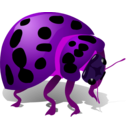 download Bug clipart image with 270 hue color