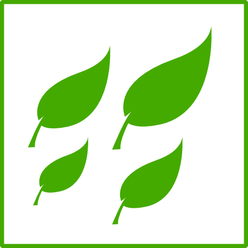 Eco Green Leaves Icon