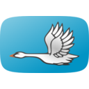 Flying Swan 2