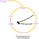 download Eutrophisation Cycle clipart image with 45 hue color