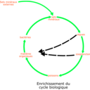 download Eutrophisation Cycle clipart image with 135 hue color