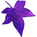 download Red Maple Leaf clipart image with 270 hue color
