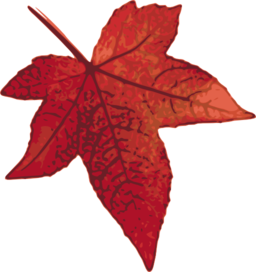 Red Maple Leaf