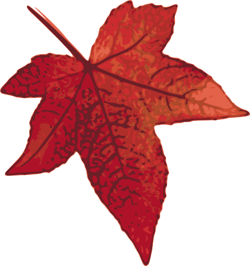 Red Maple Leaf