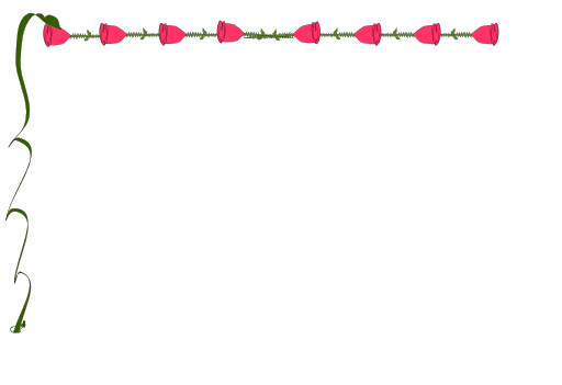 Brd Rose1