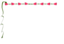 Brd Rose1