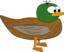Cartoon Duck