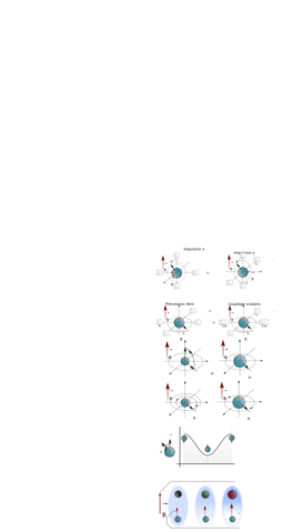 Nmr Bloch Spheres