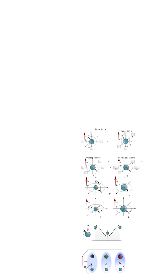 Nmr Bloch Spheres