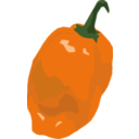 Habanero Pepper