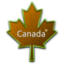 download Maple Leaf 5 clipart image with 45 hue color