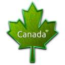 download Maple Leaf 5 clipart image with 90 hue color