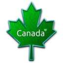 download Maple Leaf 5 clipart image with 135 hue color