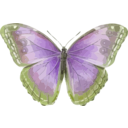 download Morpho Helenor clipart image with 45 hue color